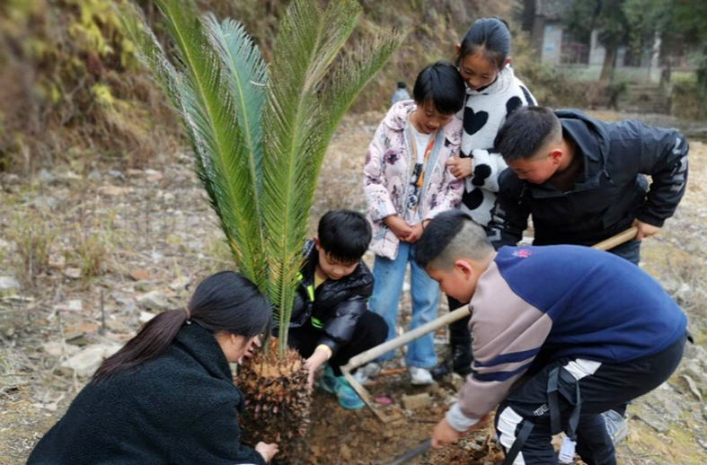 牛牯坪乡小学：护绿使者在行动，爱绿护绿美校园