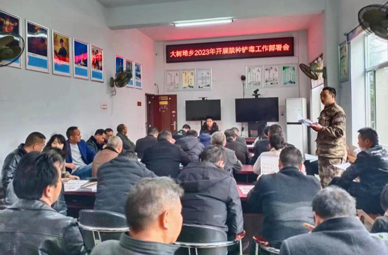 大树坳乡：多措并举抓实禁毒工作
