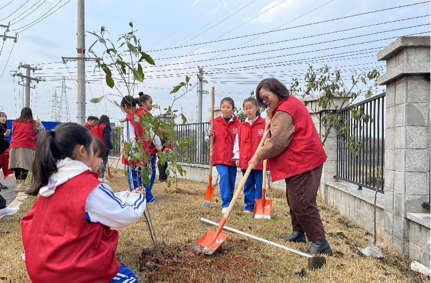 芷江芙蓉学校开展“同植廉洁树、共育雷锋林”活动