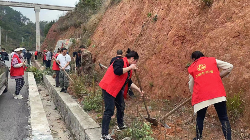 罗旧镇：植树美化环境 助力乡村振兴