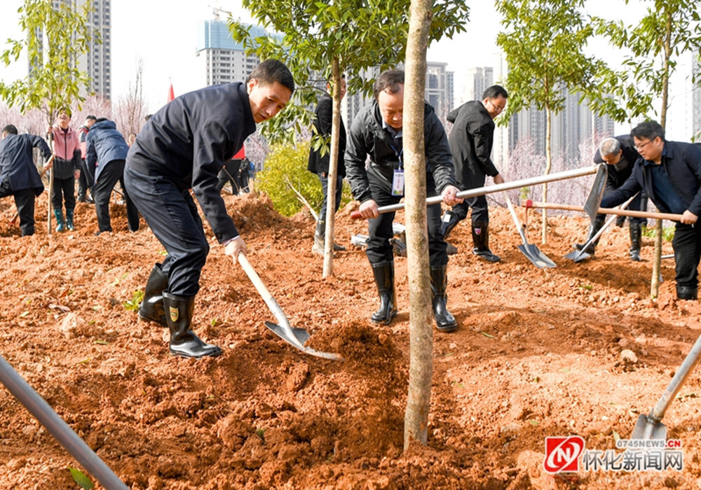 怀化市"互联网+全民义务植树"活动启动