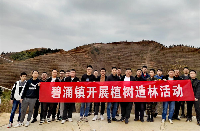 碧涌镇：春风细雨润如酥 植树补绿靠得住