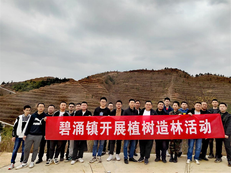 碧涌镇：春风细雨润如酥 植树补绿靠得住