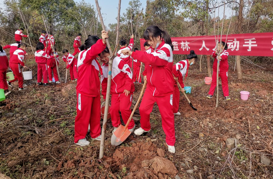 学雷锋 树新风丨芷江团县委：三月春风学雷锋 植绿护河在行动