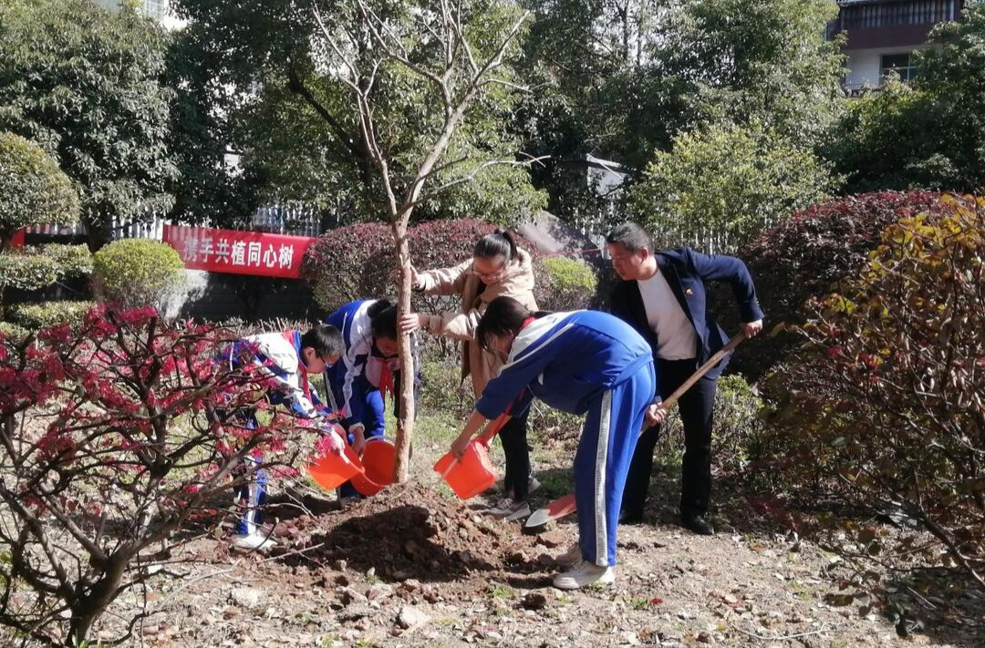 河西小学：携手共植石榴树 民族团结记心间
