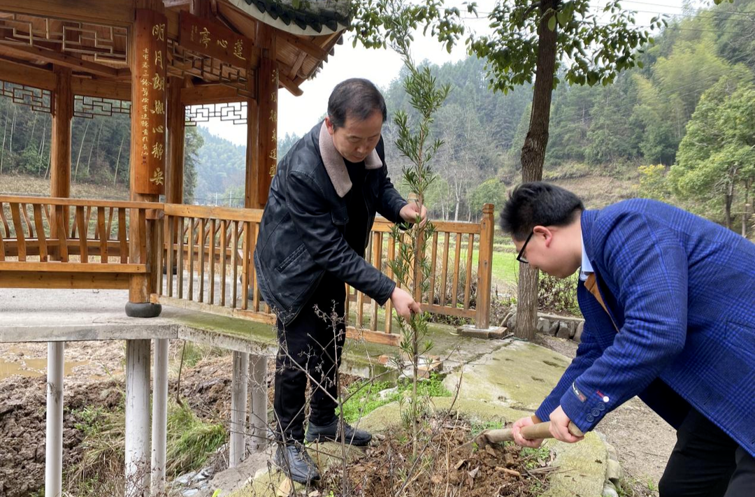 学雷锋 树新风|三道坑镇开展“三月学雷锋 植树扬新风”义务植树活动