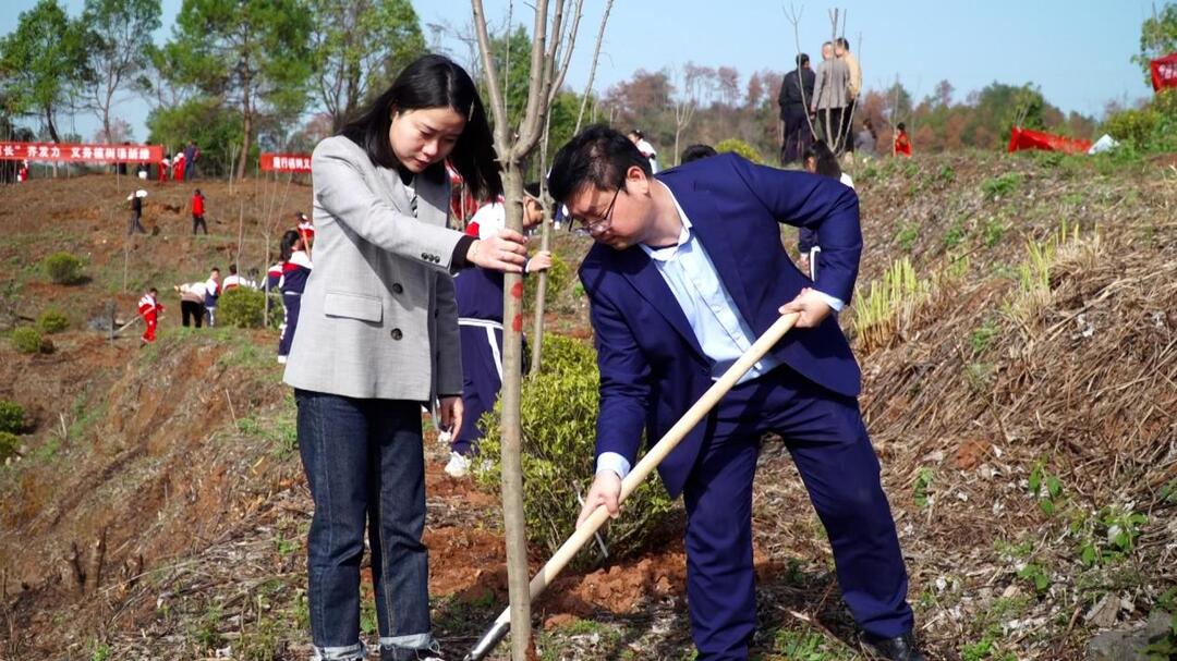 芷江太平洋保险公司：开展义务植树活动 积极践行企业责任