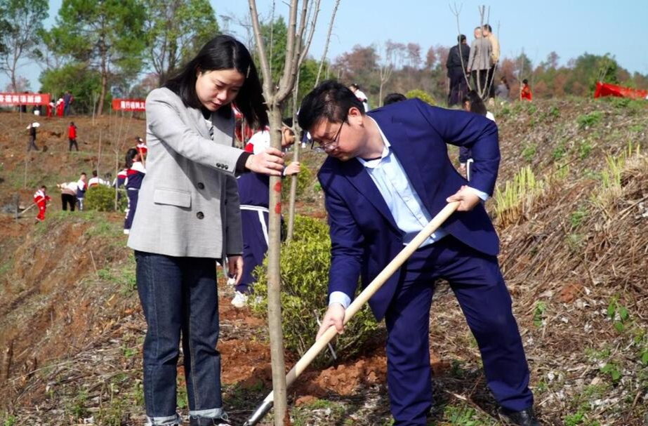 芷江太平洋保险公司：开展义务植树活动 积极践行企业责任