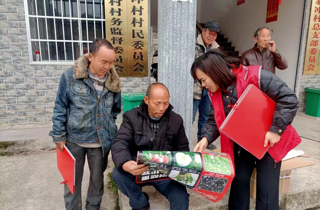 公坪镇：文明志愿深 禁毒宣传忙