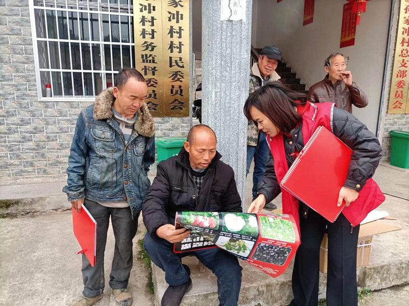 公坪镇：加大宣传教育力度  筑牢防毒拒毒防线