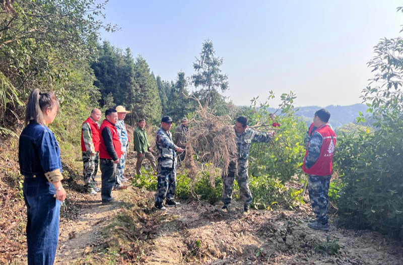 冷水溪乡：不负好春光 植树添绿忙