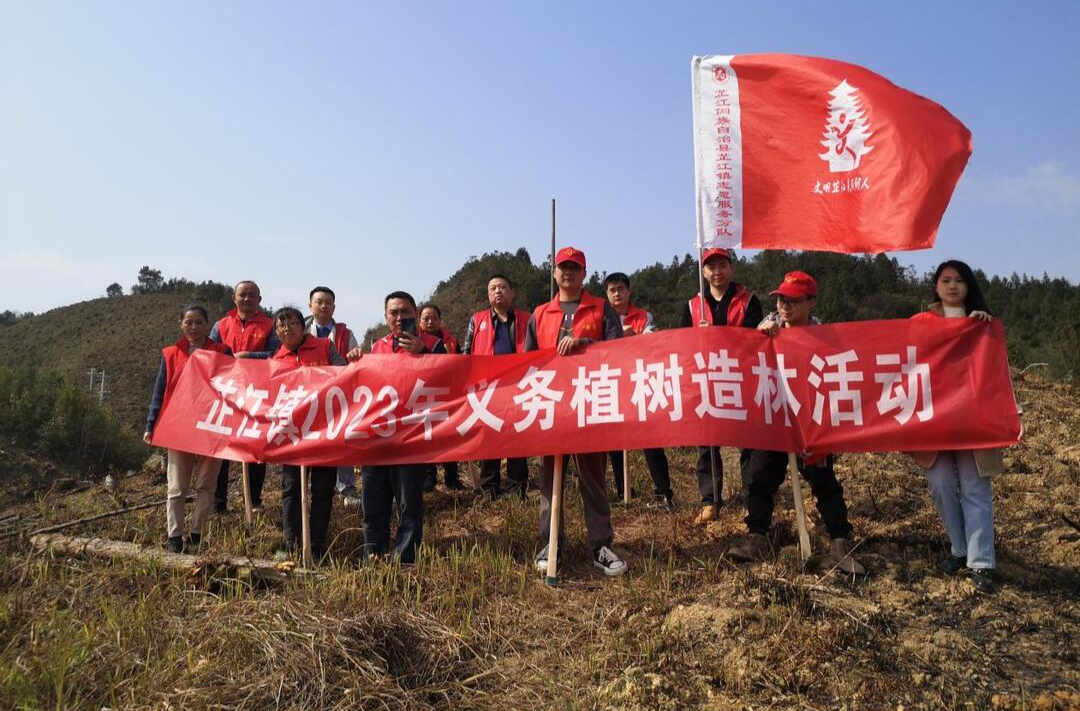 荒山添新绿 乡村更美丽：芷江镇开展植树周活动