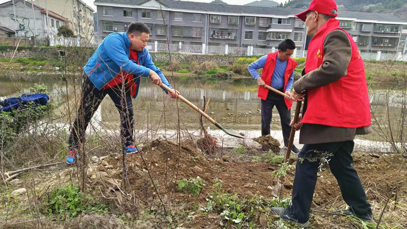 新店坪镇：传承红色基因 播种绿色希望