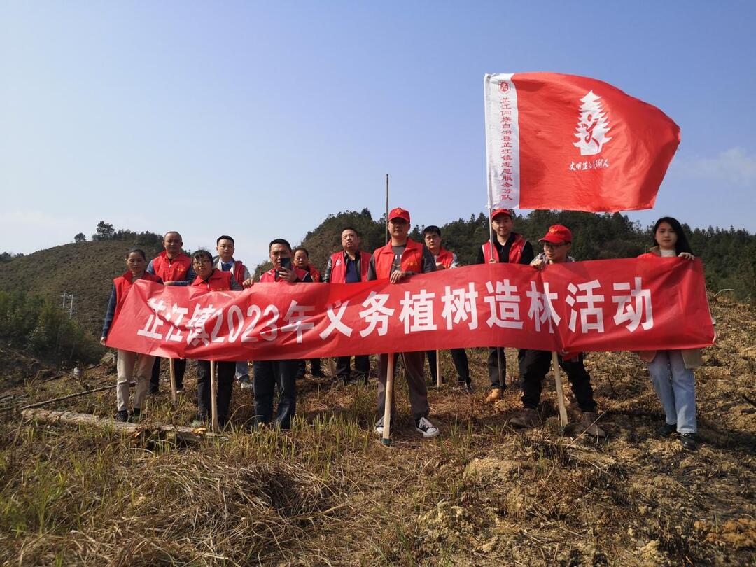 荒山添新绿，乡村更美丽   芷江镇开展植树周活动