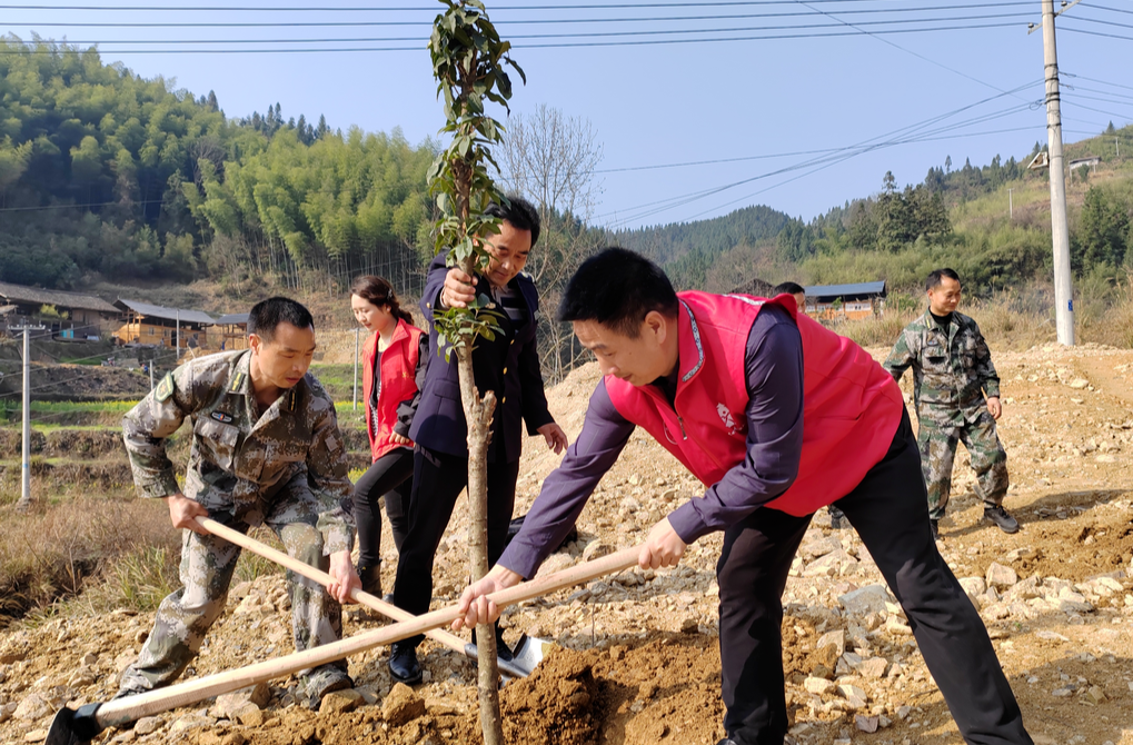 大树坳乡开展“同植青绿小树、共育清廉大树”义务植树活动