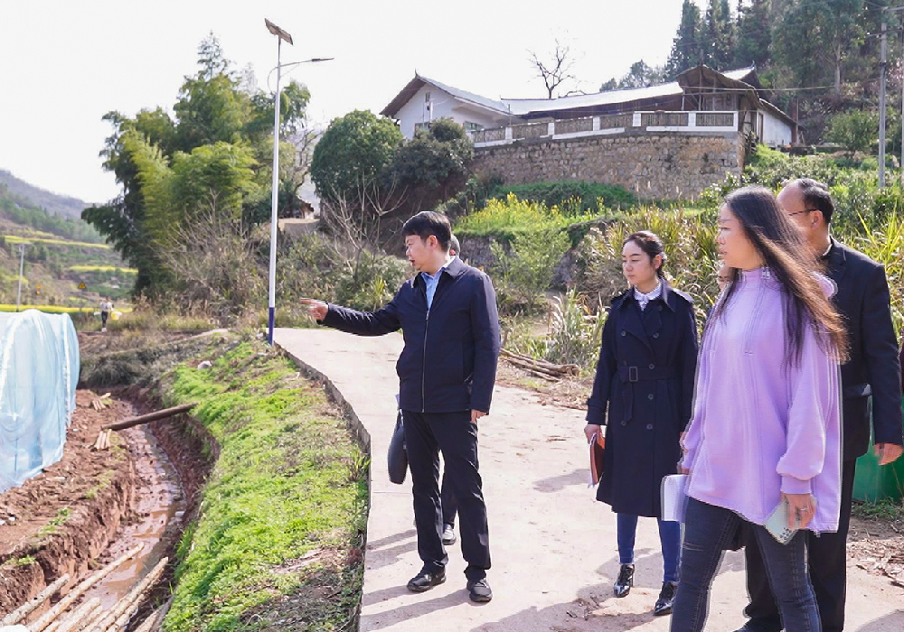 梁志平在庆湾村调研时强调： 扎实做好春耕生产 全面推进乡村振兴