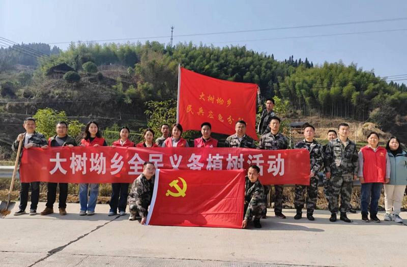 大树坳乡人武部开展新春植树活动