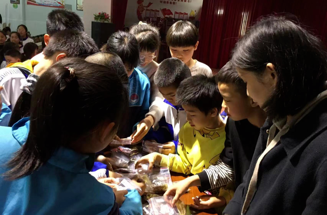 河西小学：传承中医精髓  厚植爱国情怀