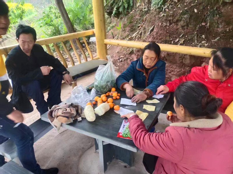 水宽乡柘莲村：春暖行动助农惠民