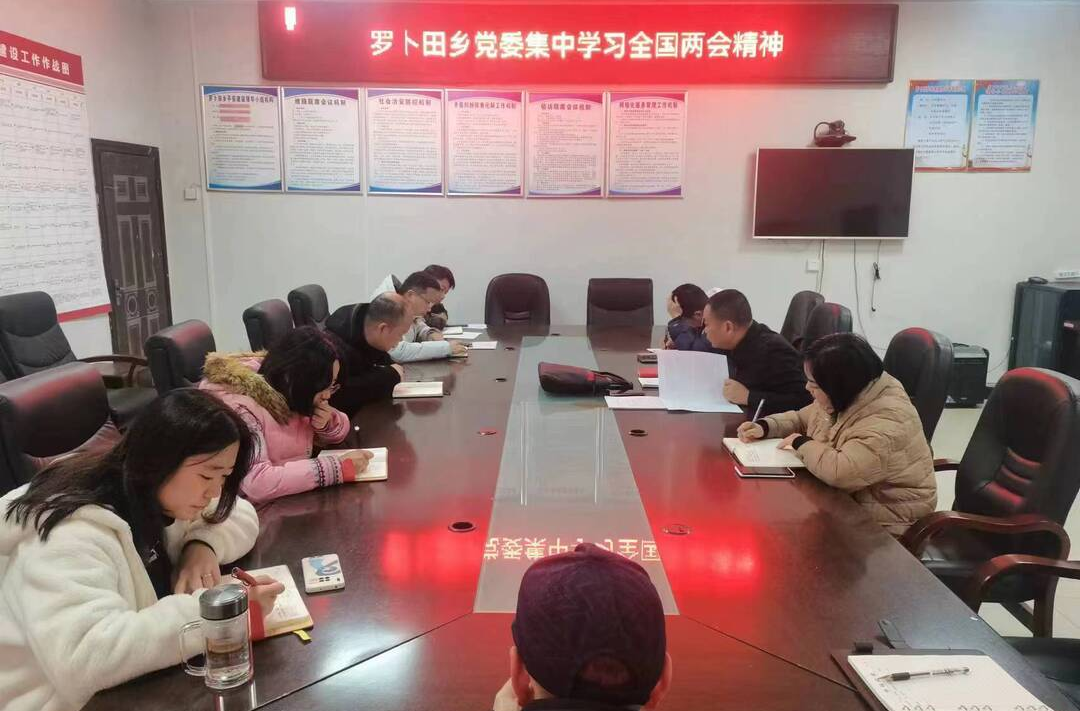 罗卜田乡召开会议传达学习贯彻全国两会精神