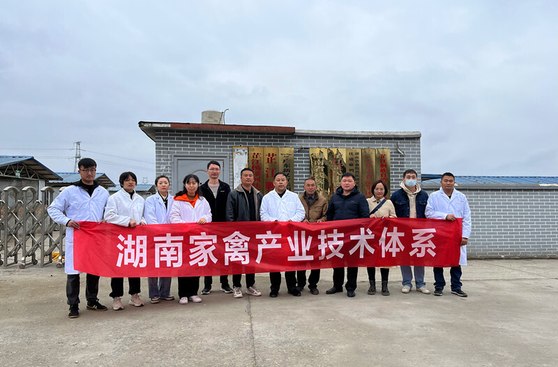 湖南省家禽产业体系岗位专家团队来芷指导芷江鸭遗传资源生产性能测定工作