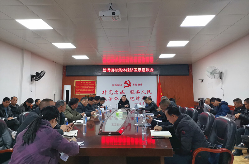 碧涌镇：共商集体经济 共话乡村振兴