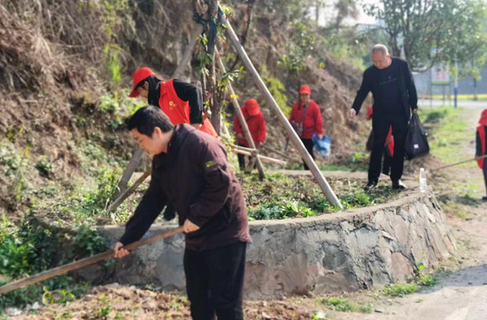 芷江镇沙湾村：人大代表齐发力，人居环境更美丽