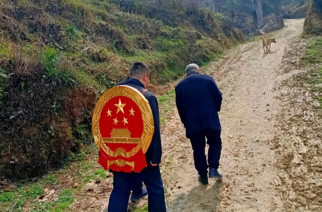 芷江人民法院：亲兄弟对簿公堂 巡回法庭解难题