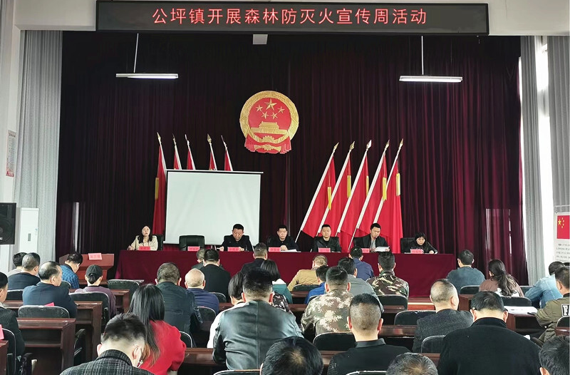 打好安全生产翻身仗丨公坪镇：严防森林火险 守护绿水青山
