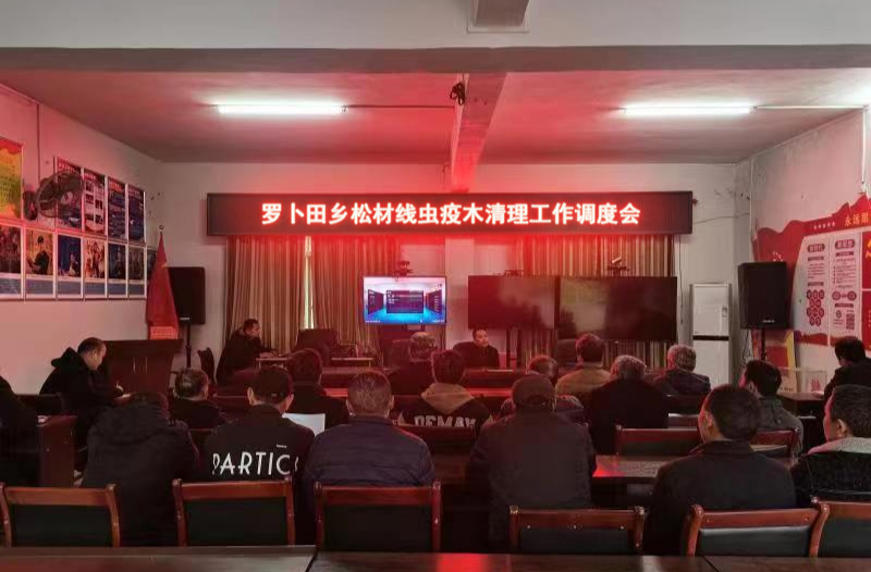 罗卜田乡多措并举扎实开展松材线虫疫木清理工作