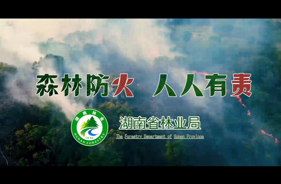 森林防火 人人有责