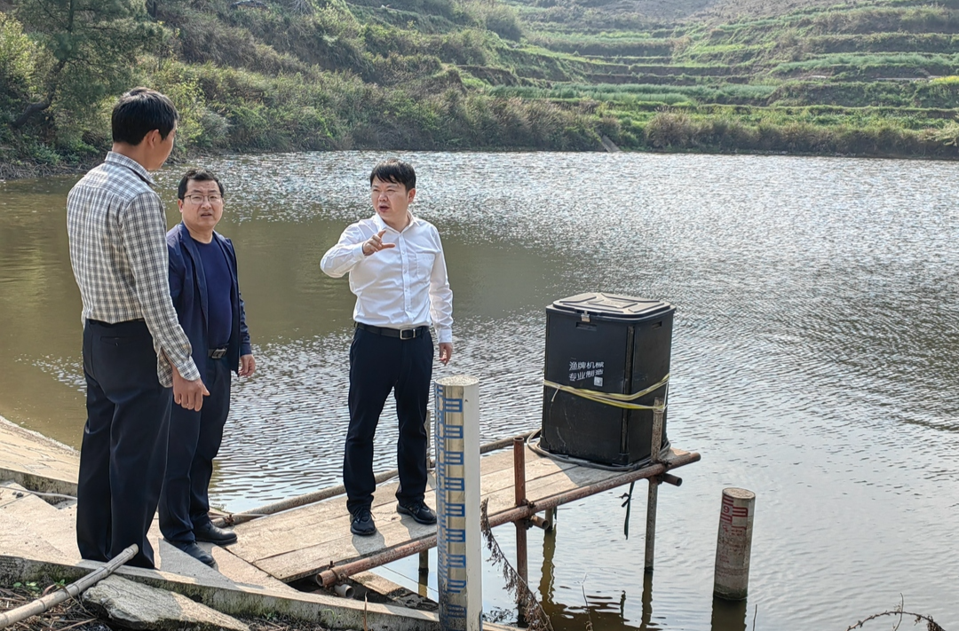 梁志平在芷江镇曲溪垅村等地督导乡村振兴时强调：发动群众把产业发展好 把人居环境整治好