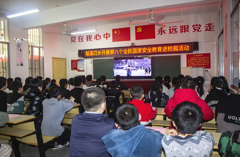 梨溪口乡开展全民国家安全教育进校园活动