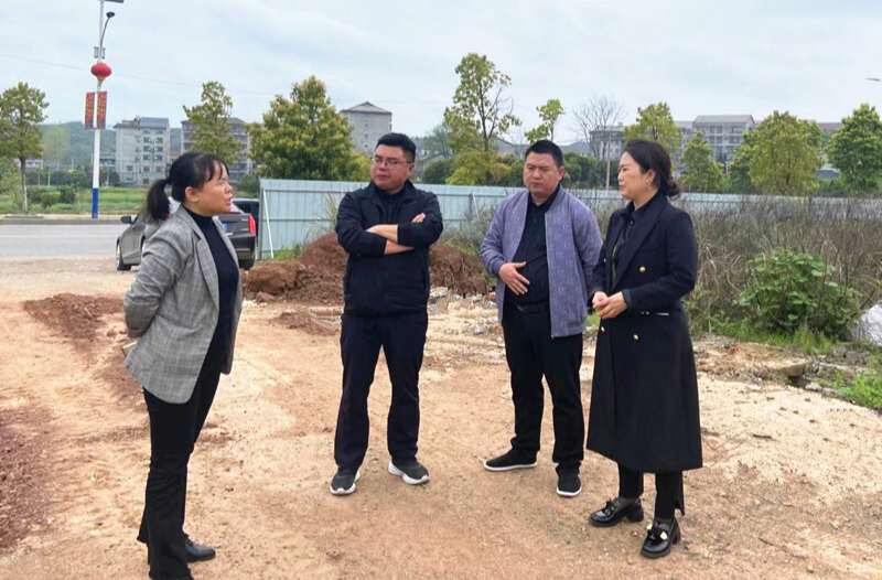 芷江：聚力聚焦项目源头 扎实有效推进债务风险防范