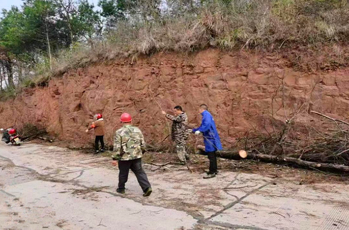 打好安全生产翻身仗丨罗卜田乡砍伐枯树除隐患 安全护行解民忧