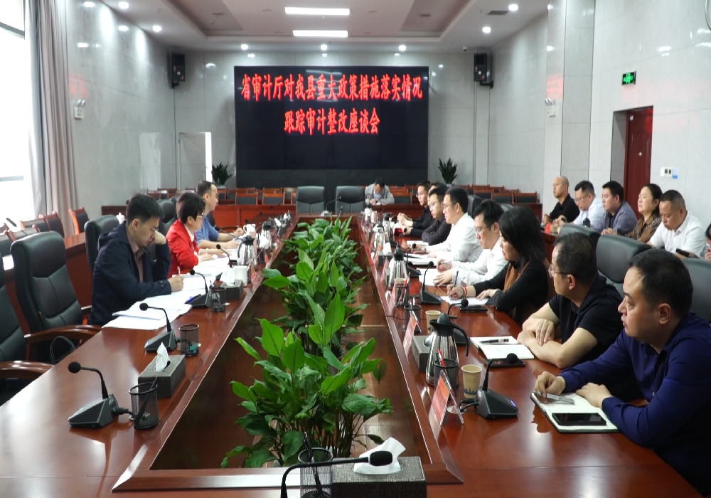 省审计厅对我县重大政策措施落实情况跟踪审计整改座谈会召开