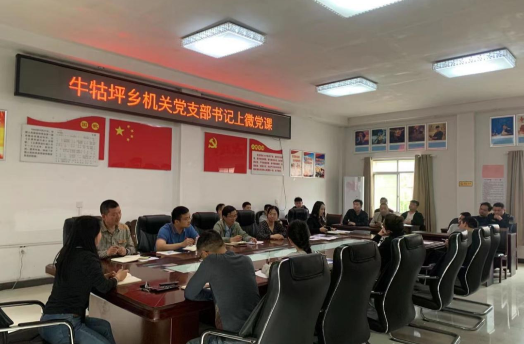 牛牯坪乡：机关党支部开展“一月一课一片一实践”活动