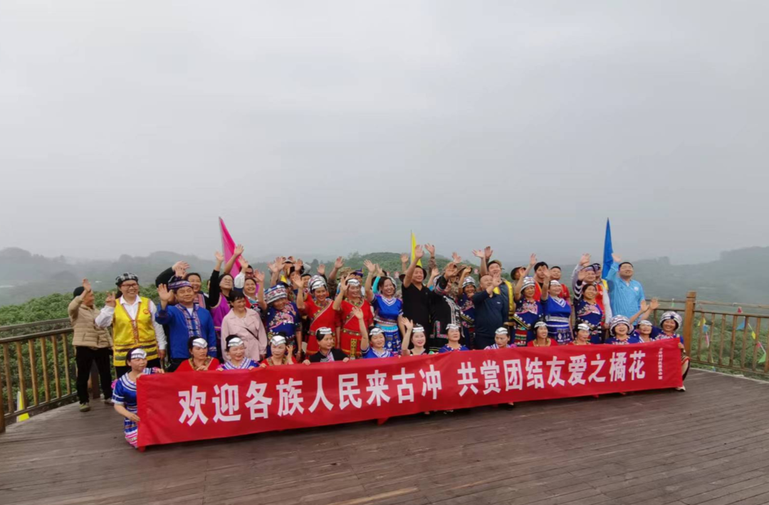禾梨乡开展首届橘花节暨“聚乡贤、赏橘花、话振兴”主题活动