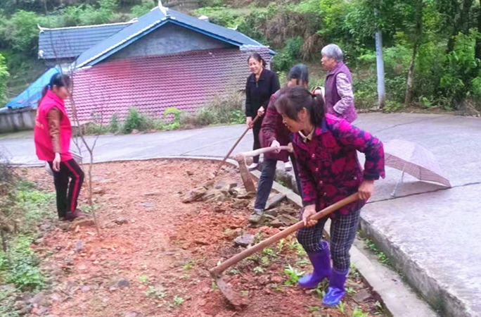 洞下场乡：“美家美妇”齐行动 十里花路靓家园