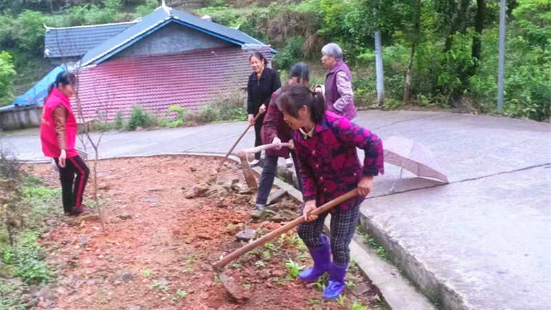 洞下场乡：“美家美妇”齐行动 十里花路靓家园