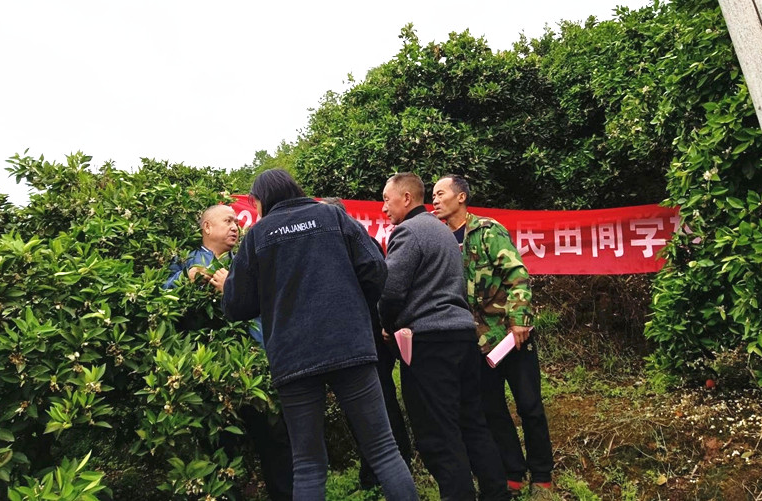 罗卜田乡：柑橘培训为乡村振兴持续“充电”