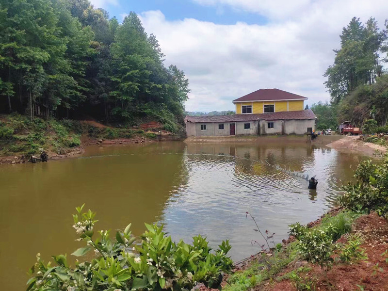 水宽乡柘莲村：庭院“小经济”撬动产业“大振兴”