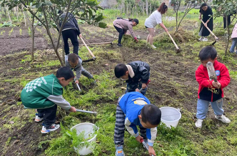 河西幼儿园：传承劳动美  致敬劳动者