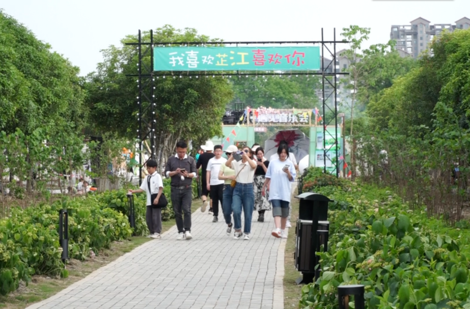 芷江：新业态 新体验 “露营+音乐会”模式开创文旅新玩法