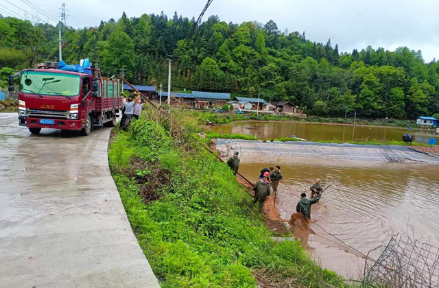 罗旧镇：退渔还田 严守耕地红线