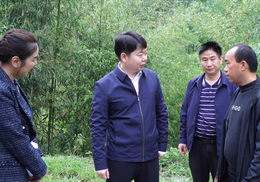 梁志平在新店坪镇、大树坳乡调研时强调：扛稳粮食重任 因地制宜发展特色富民产业