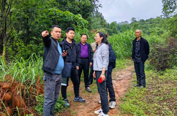 芷江：蟒塘溪（怀化市）水资源配置（芷江部分）工程实物调查工作启动