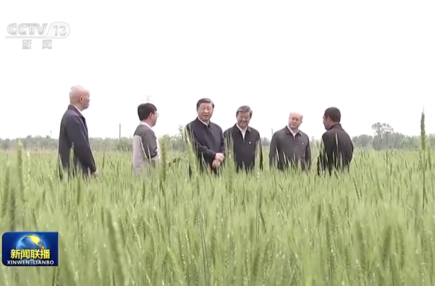 习近平在河北考察并主持召开深入推进京津冀协同发展座谈会