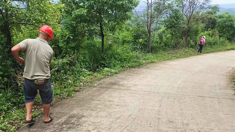 罗卜田乡：清除道路两侧杂草 美化道路环境