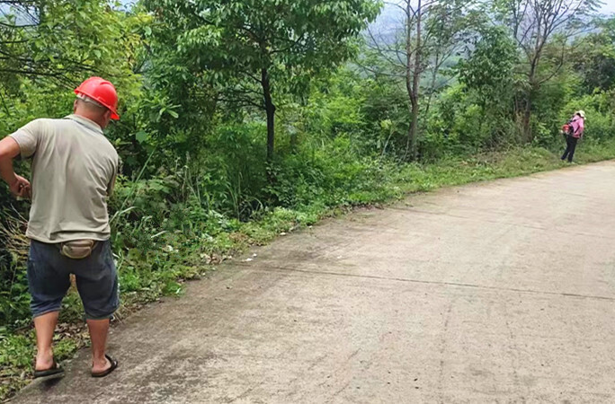 罗卜田乡：清除道路两侧杂草 美化道路环境